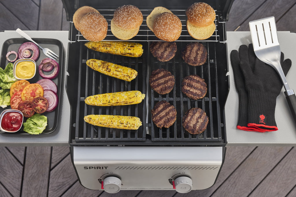 Weber Spirit Gas Grill, E-210 2 Burner Propane Gas Grill with Wheels, Black Gas Grills