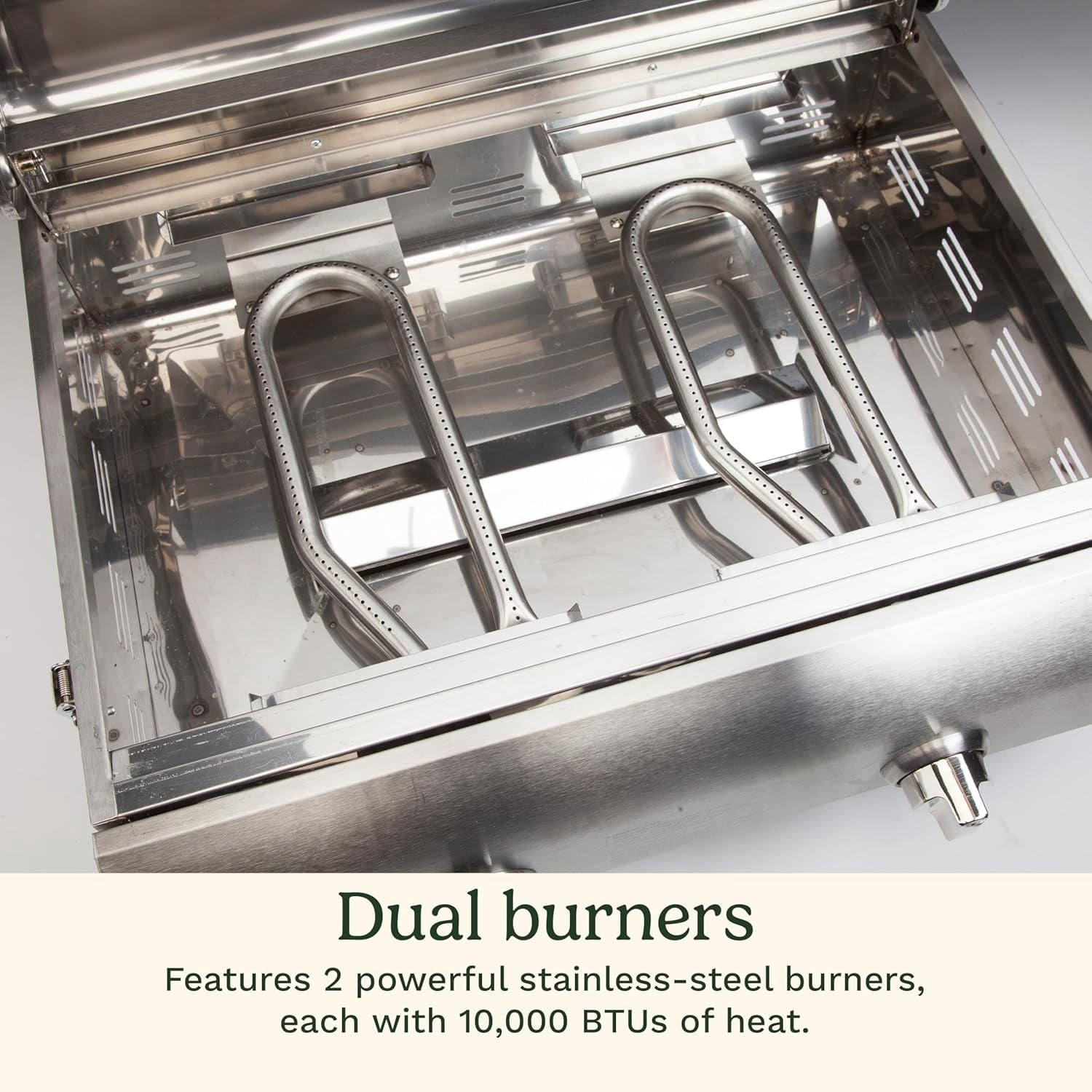 Cuisinart Chef's Style Stainless 2 Burner Tabletop Portable Gas Grill, Silver Cuisinart