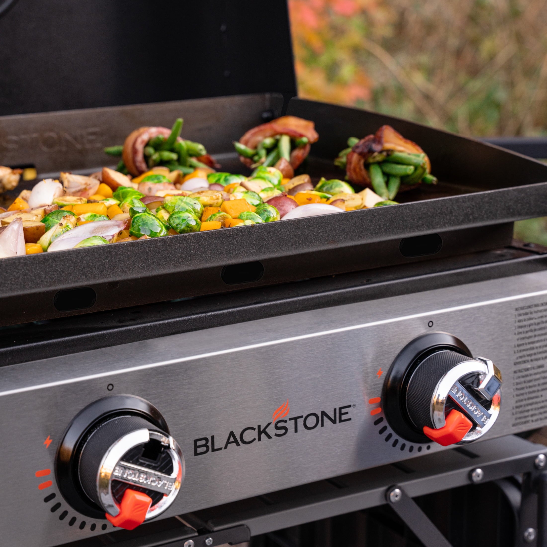 Blackstone 2-Burner 22 Tabletop Griddle with Hood Omnivore Plate and Stainless Front Panel Gas Grills