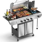 FREE VILLAGE 2-Burner Propane Gas BBQ Grill,20000 BTU Stainless Steel Barbeque Grill with Side Shelves and Wheels,Portable Outdoor Grill for Patio,Backyard,Garden,Camping Cooking Gas Grills