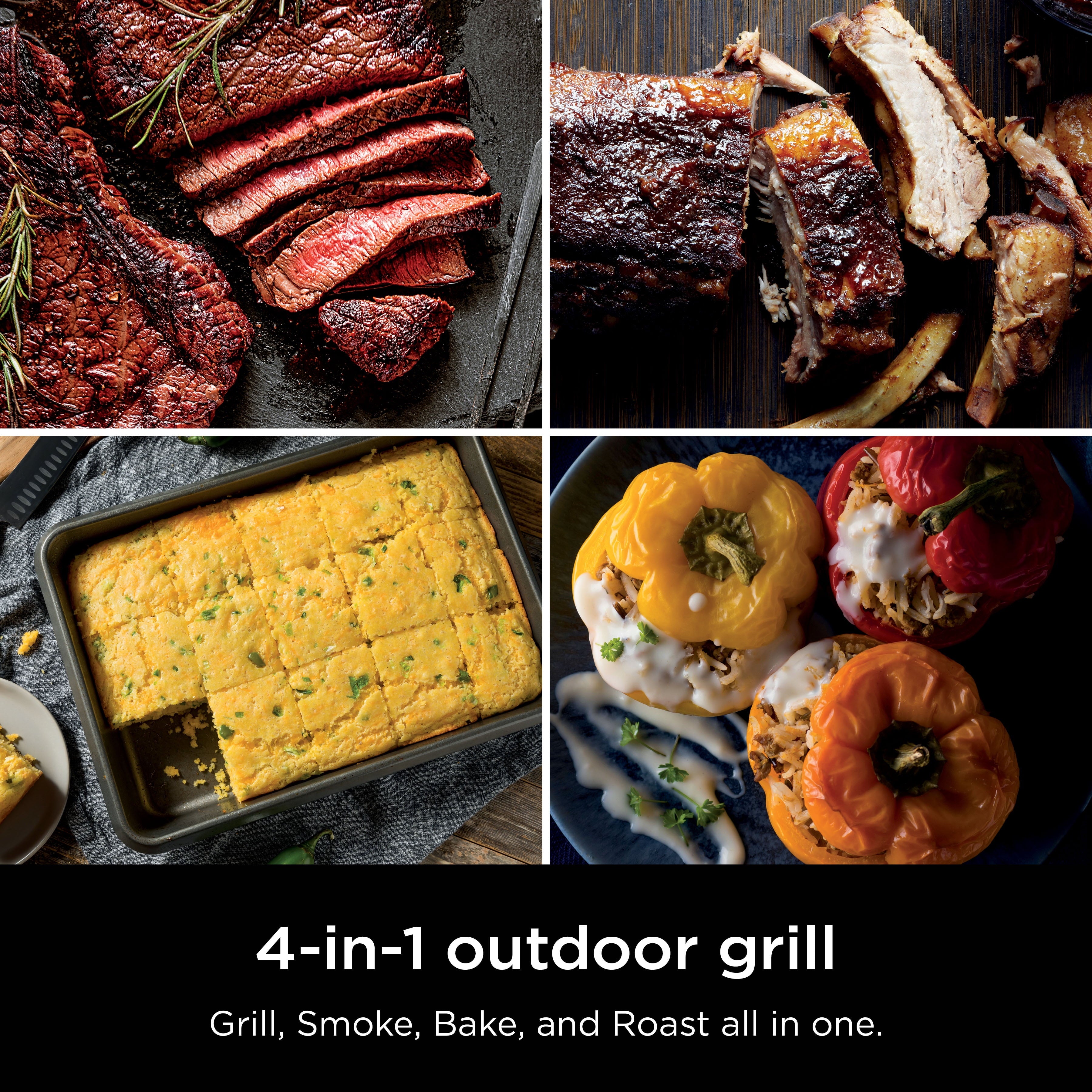 Ninja Woodfire? Outdoor Grill & Smoker Ninja