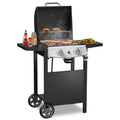 LHRIVER 2 Burner Gas Grill with Side Table, Portable Outdoor Barbecue Cooking BBQ, 20000BTU Gas Grills