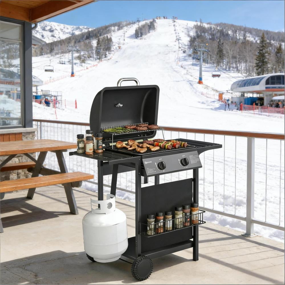 2 Burner 18000 BTU Propane Gas Grill Freestanding Outdoor BBQ Grill Dual?Zone Flat Top Grill with Warming Rack Side Tables for Backyard Patio Garden Family Outdoor Cooking Cozynest