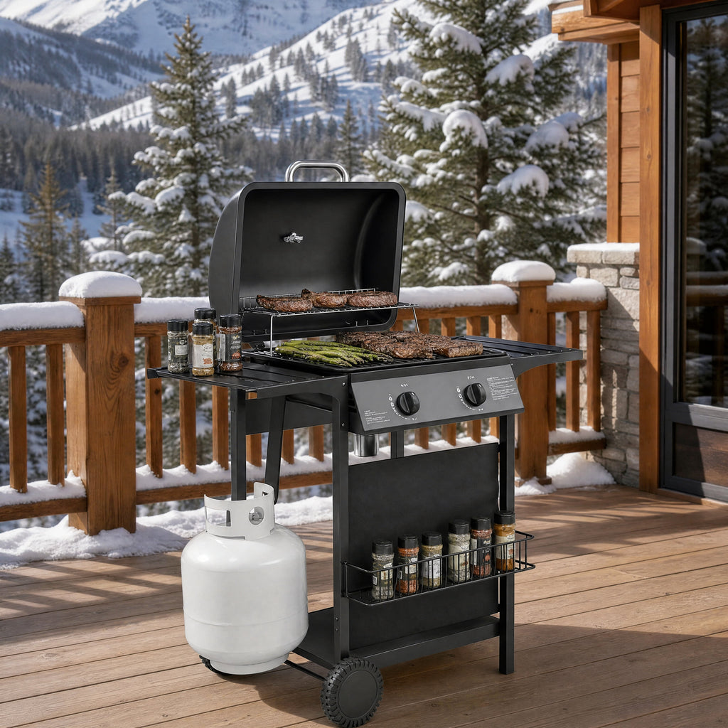 2 Burner 18000 BTU Propane Gas Grill Freestanding Outdoor BBQ Grill Dual?Zone Flat Top Grill with Warming Rack Side Tables for Backyard Patio Garden Family Outdoor Cooking Cozynest