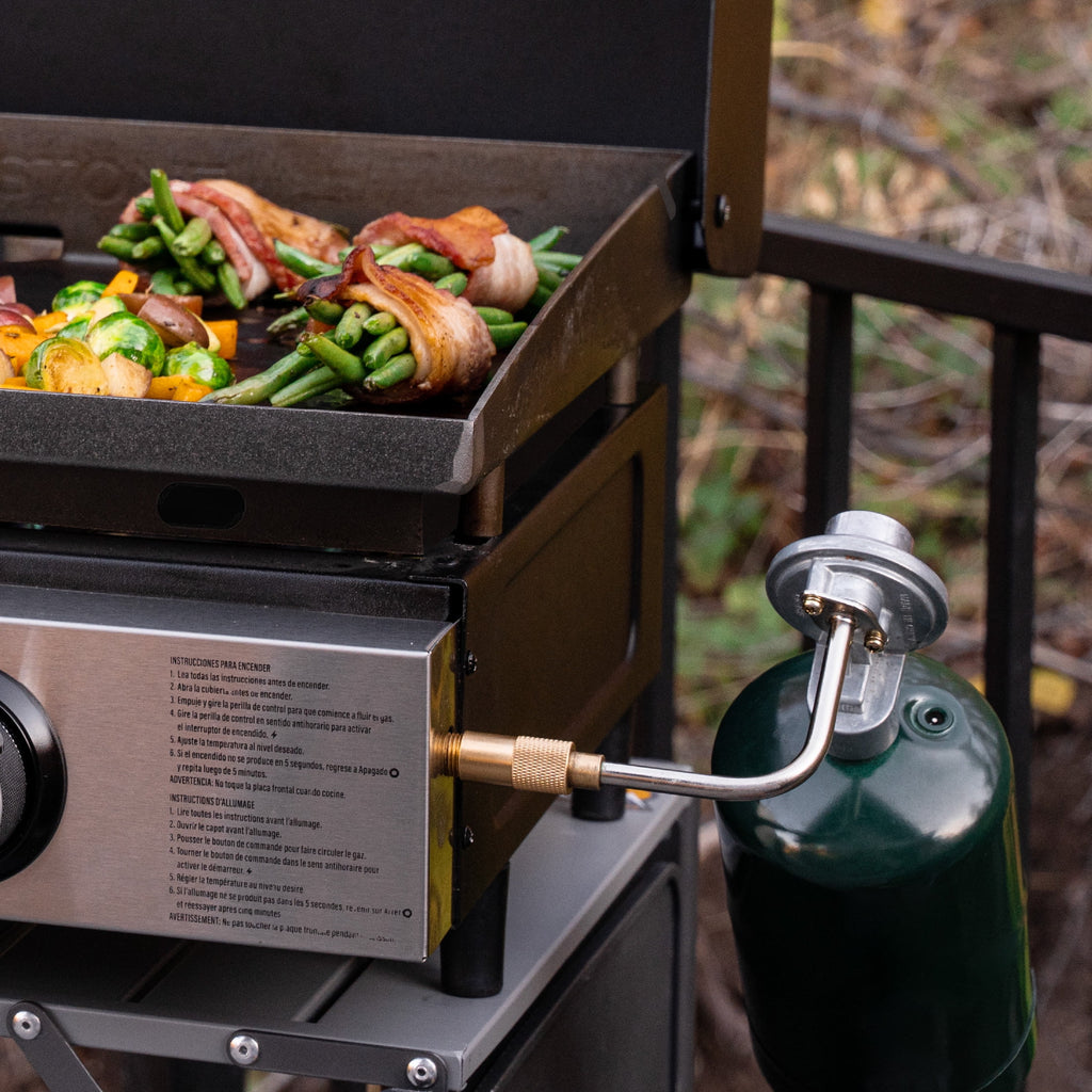 Blackstone 2-Burner 22 Tabletop Griddle with Hood Omnivore Plate and Stainless Front Panel Gas Grills